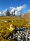 WR Escapee 04 - “Glowbird"