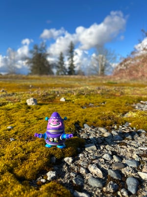 Image of WR Escapee 05 - “Purple Reign"