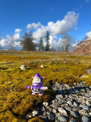 Image of WR Escapee 09 - “Limpy"