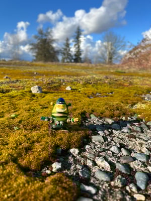 Image of WR Escapee 10 - “GoldMouth"