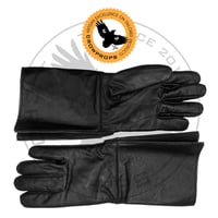 Image 1 of Squadrons - R1 - Mandalorian - Solo TIE Pilot - Vonreg  - Varko - Inferno Gloves