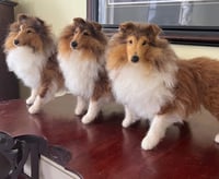 Image 3 of 9" Standing rough Collie(any color)