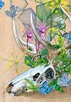 Spring's First Flush ~ Limited Edition Print