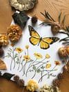 Monarch butterfly with poppies