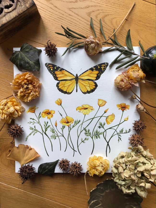 Monarch butterfly with poppies