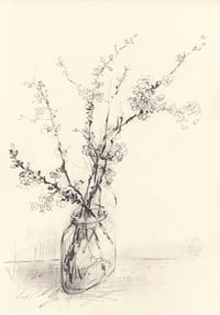 Vase of blackthorn blossom 