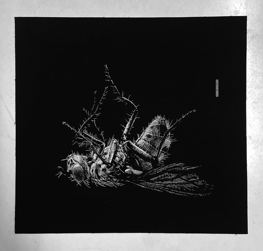 Image of »Fly« Back Patch