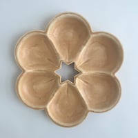 Image 2 of Blush Seder Plate