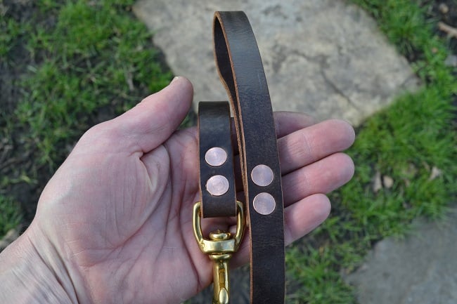 Dog Leads