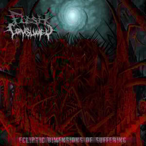 Image of "Ecliptic Dimensions Of Suffering" LP (2010), OR "Mutilate, Eviscerate, Decapitate" LP (2008)