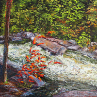 Image 1 of - Oxtongue Rapids -