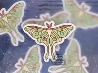 Image 1 of Luna Moth- 3 inch Vinyl Sticker