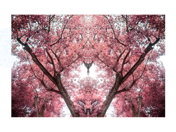 Image of Infrared #3