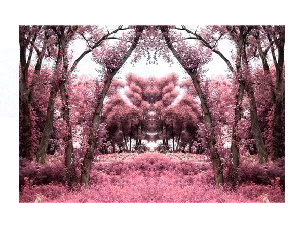 Image of Infrared #4