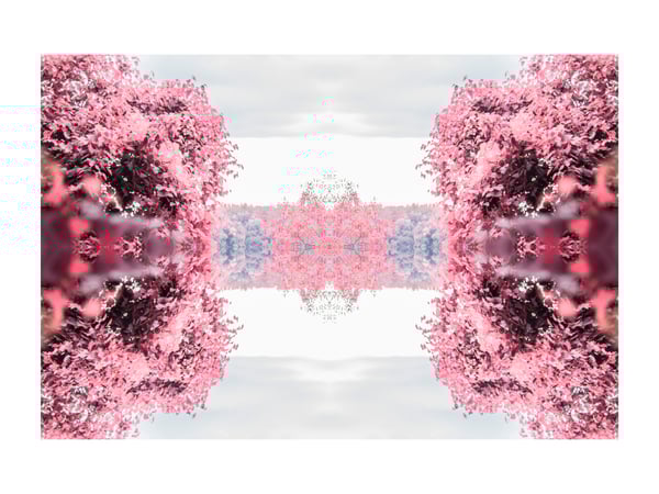 Image of Infrared #5