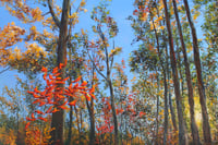 Image 1 of - Into The Valley -