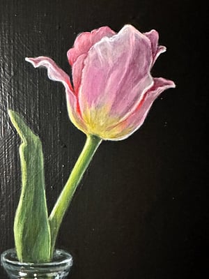 Image of Pink Tulip - Original Painting