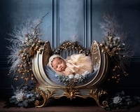 Image 3 of ADD ON Artistic Newborn Composite 