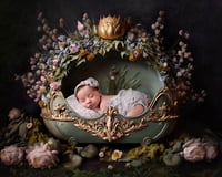 Image 4 of ADD ON Artistic Newborn Composite 