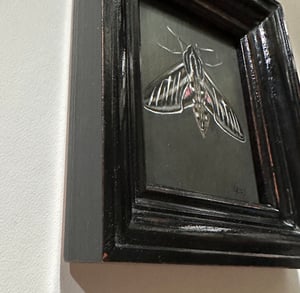 Image of Sphinx Moth - Framed Original Mini Painting