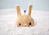 bunny idol Image 2