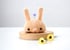 bunny idol Image 4