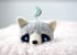 Raccoon idol Image 4