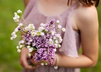 Image 2 of June LILAC Session Deposit