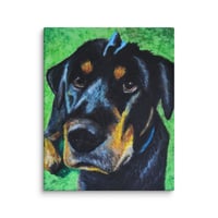 Image 3 of Rottweiler Shar-pei