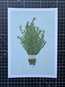 Image of Botanical 💚 Letters - Thyme after Thyme