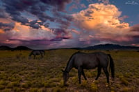 Wild Horse Sunset II