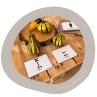 Image 2 of ATRIBUTS / ATRIBUTOS