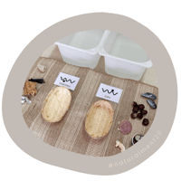 Image 3 of ATRIBUTS / ATRIBUTOS