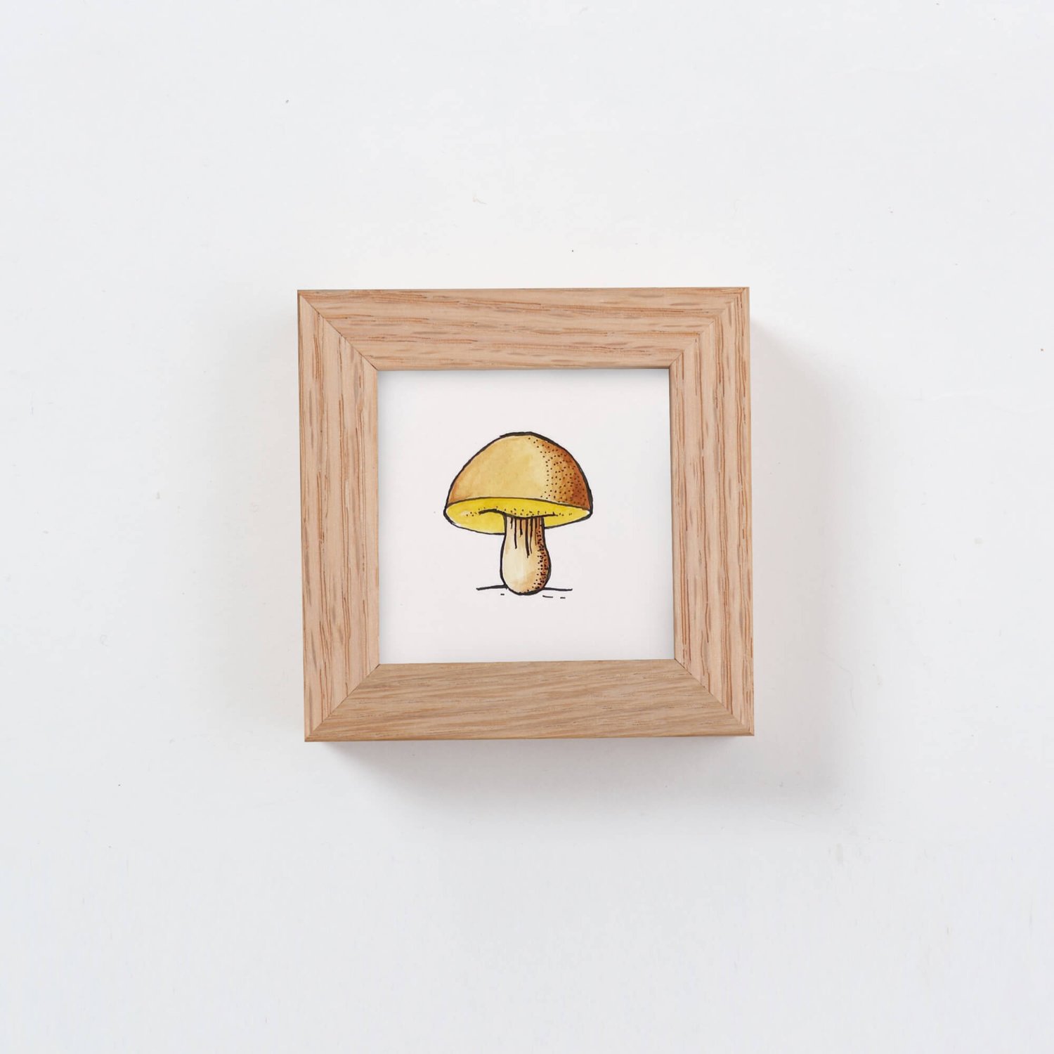 Tiny Mushroom No. 01