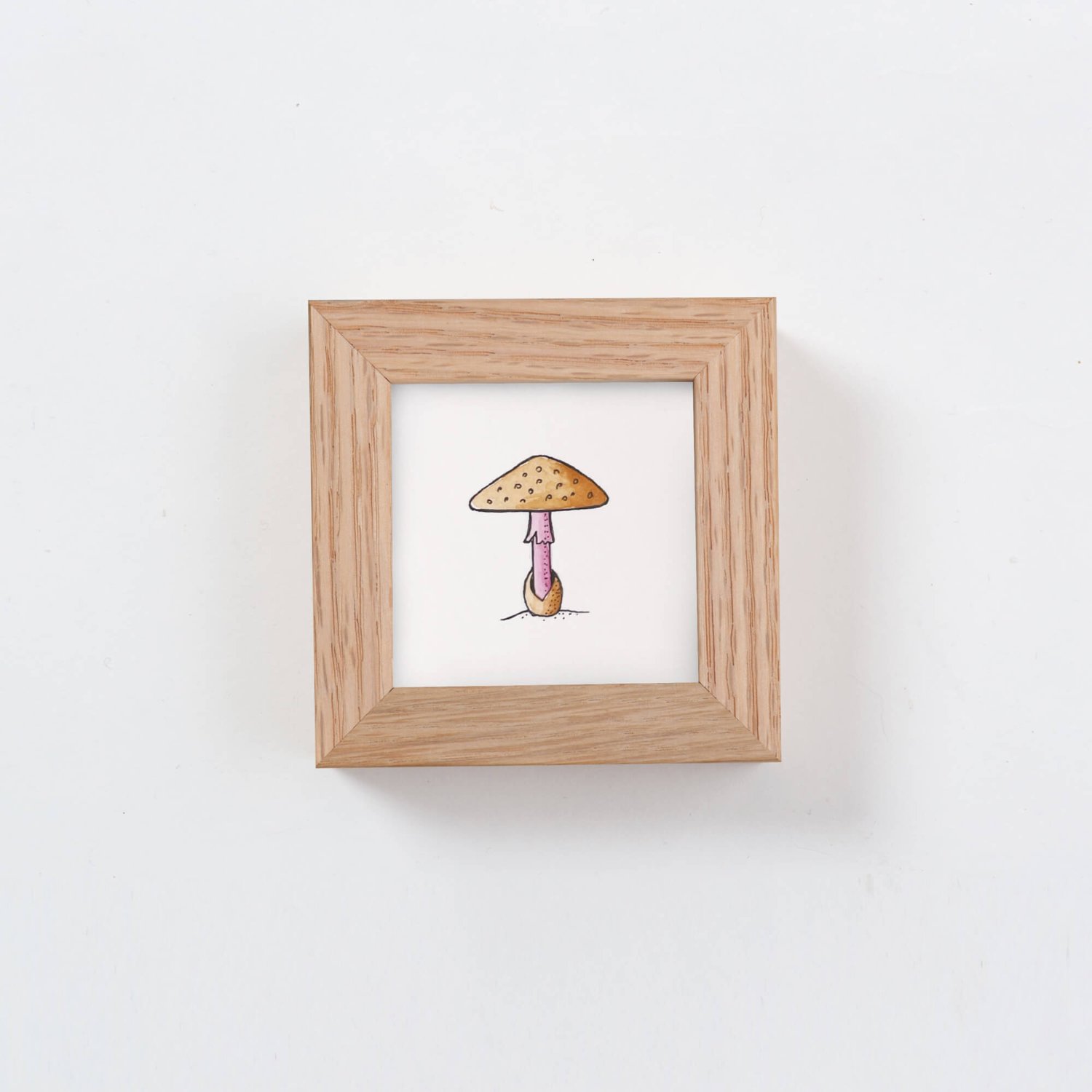 Tiny Mushroom No. 02