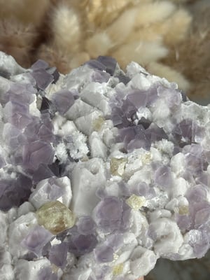 OCTAHEDRAL PURPLE FLUORITE ON CANDLE QURTZ -CHINA- E