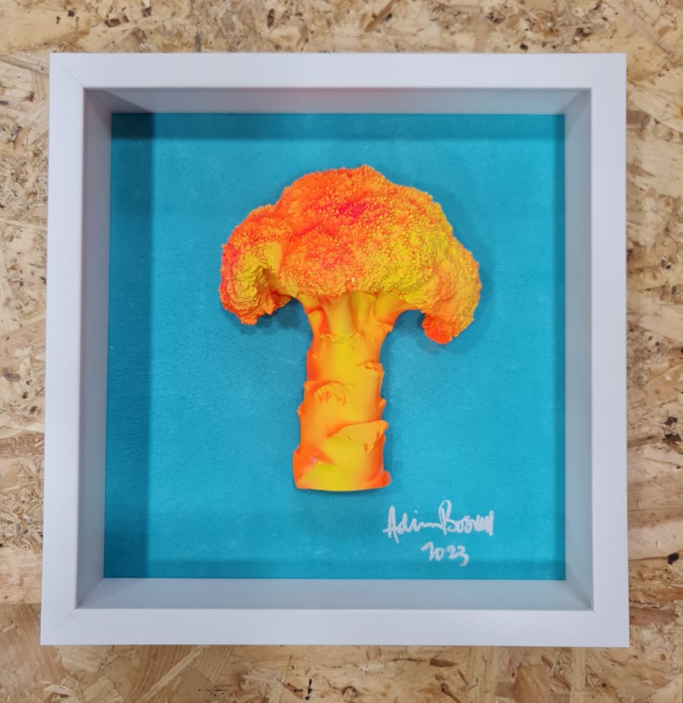 Image of RARE BRIGHTSIDE II