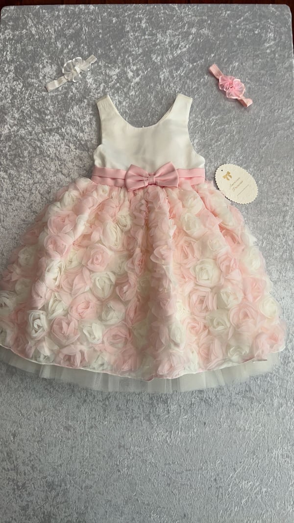 Image of American Princess pink/white rose