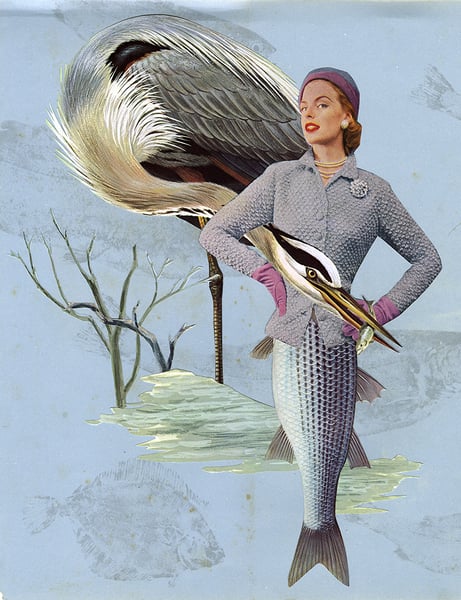 Image of Heron Addict. Limited edition collage print.