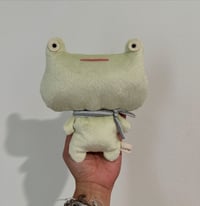 Wide Eyed Frog (Pale Green striped scarf) copy