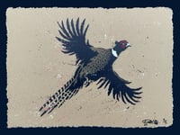 PHEASANT 
