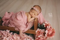 Image 3 of Newborn Session