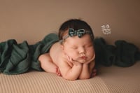 Image 2 of Newborn Session