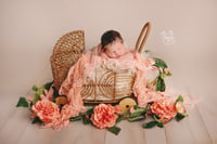 Image 4 of Newborn Session