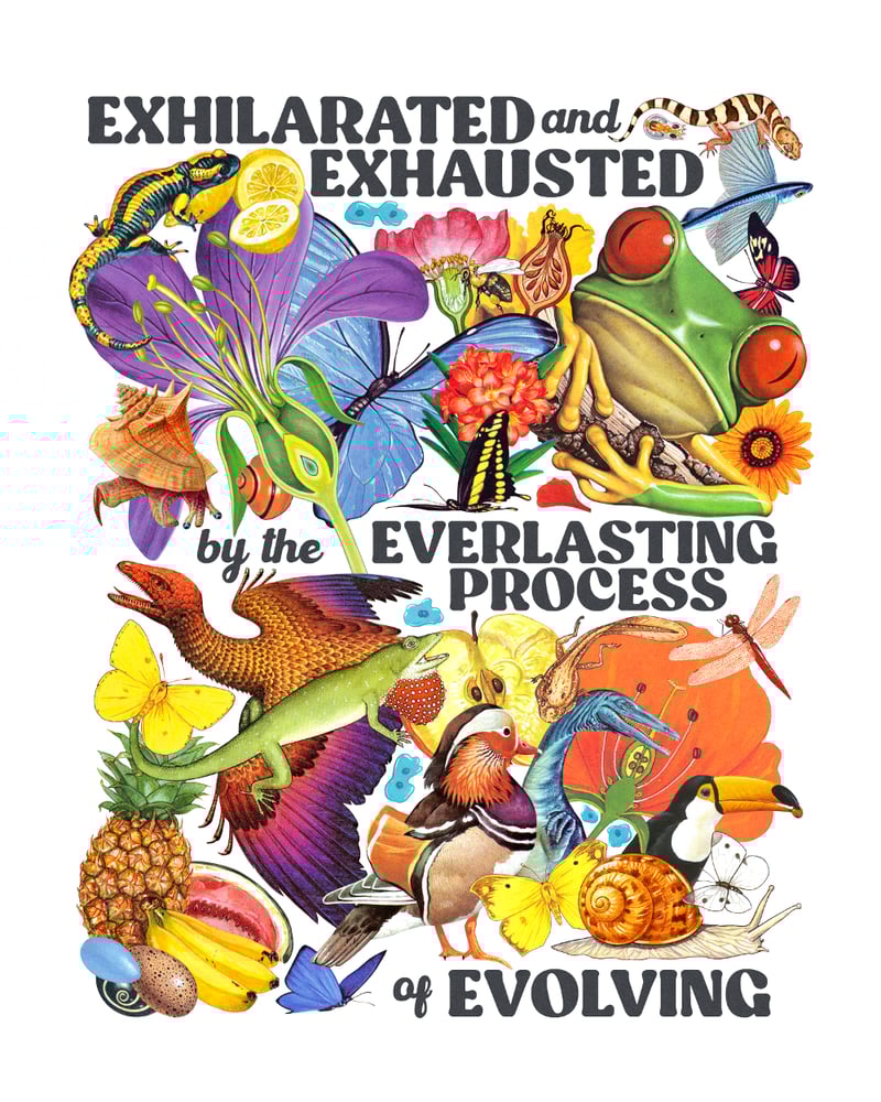 Image of Everlasting Process