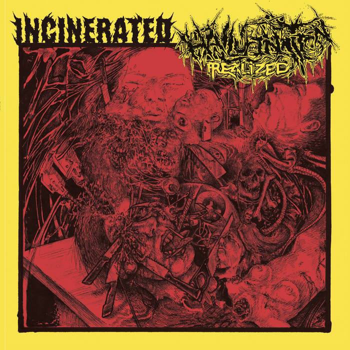 Image of INCINERATED / HALLUCINATION REALIZED - SPLIT 7"