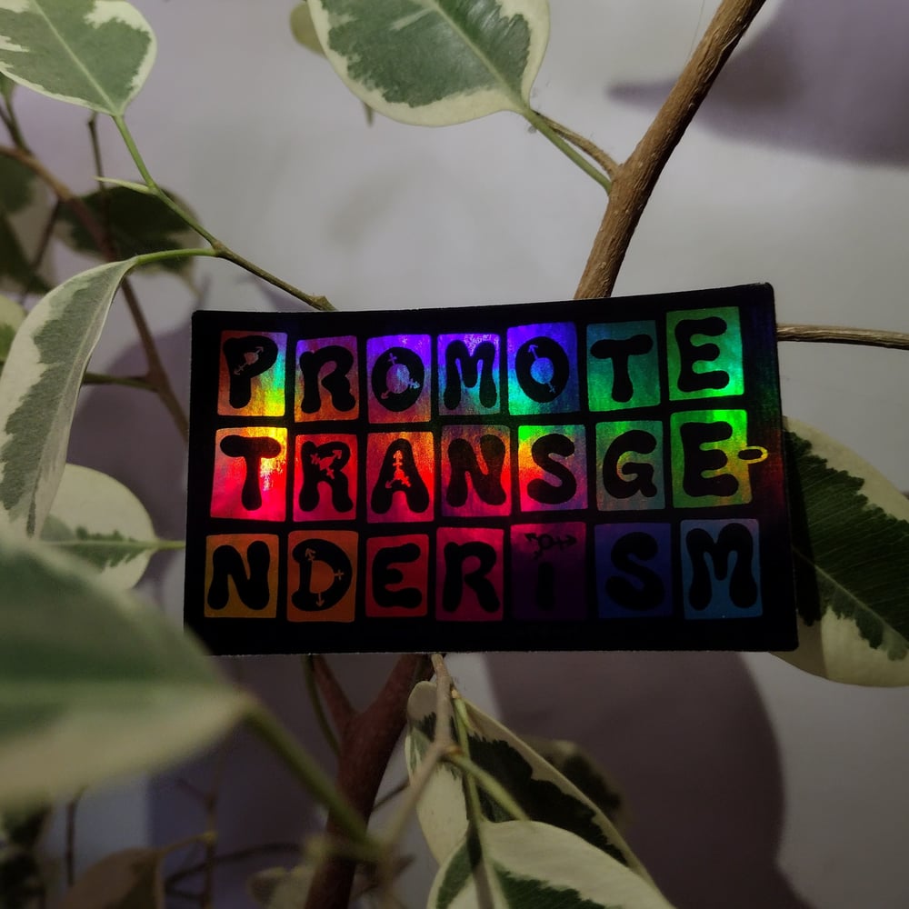 promote transgenderism 