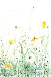 White and Yellow Poppies -Fine Art Print