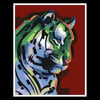 Green Tiger - Signed 11"x14" Prints