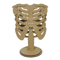 Image 1 of Standing Ribcage